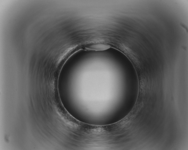 X0000099540112200805231136