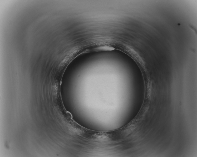 X0000099540113200805231136