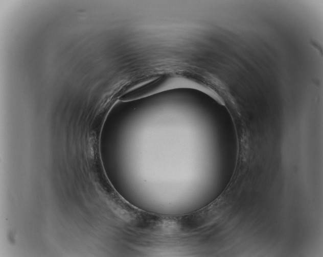 X0000099540114200805231136