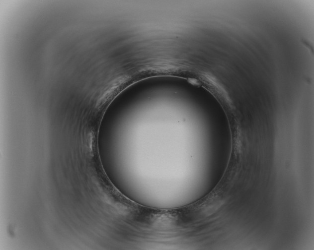 X0000099540115200805231136