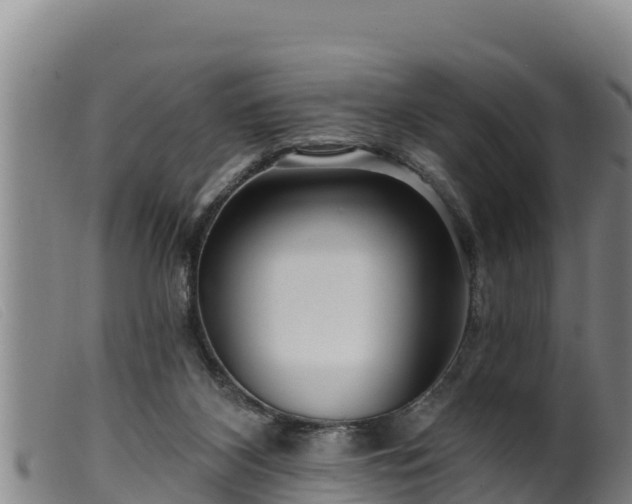 X0000099540116200805231136