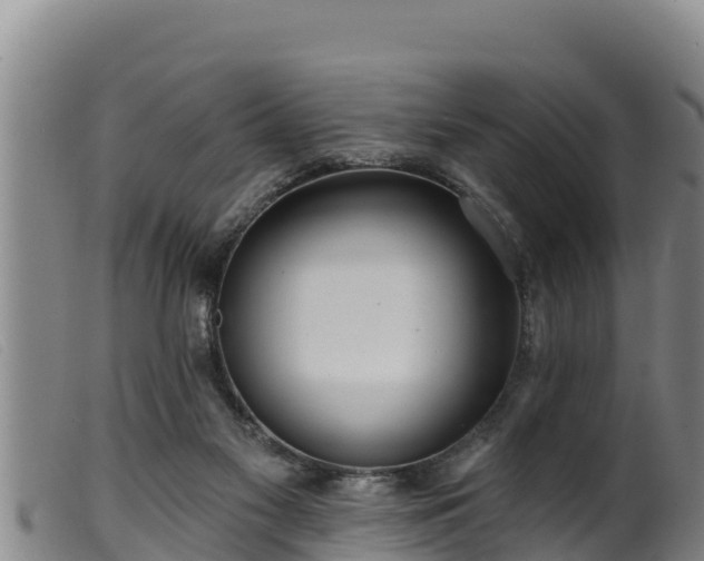 X0000099540117200805231136