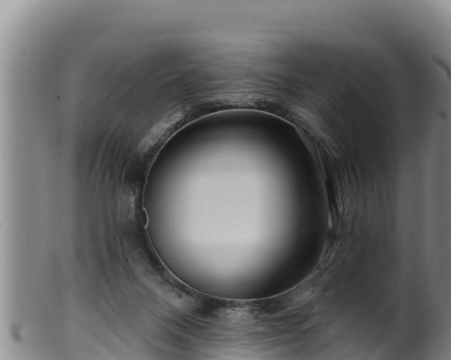 X0000099540120200805231136