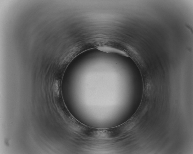 X0000099540121200805231136