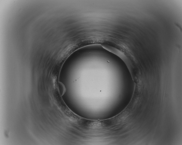 X0000099540123200805231136