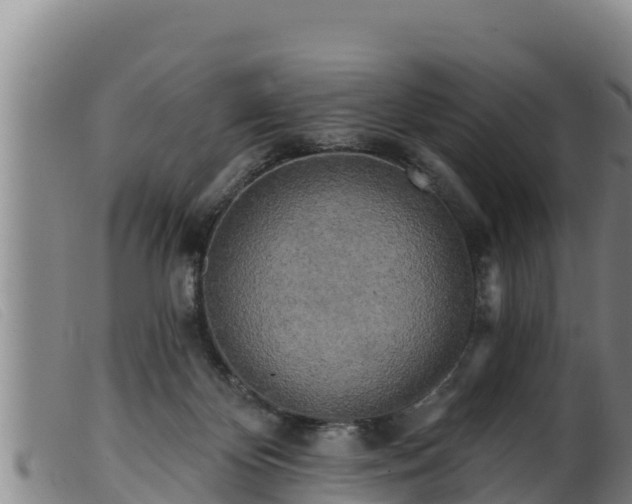 X0000099540124200805231136