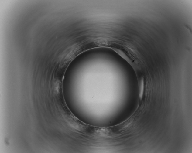 X0000099540125200805231136