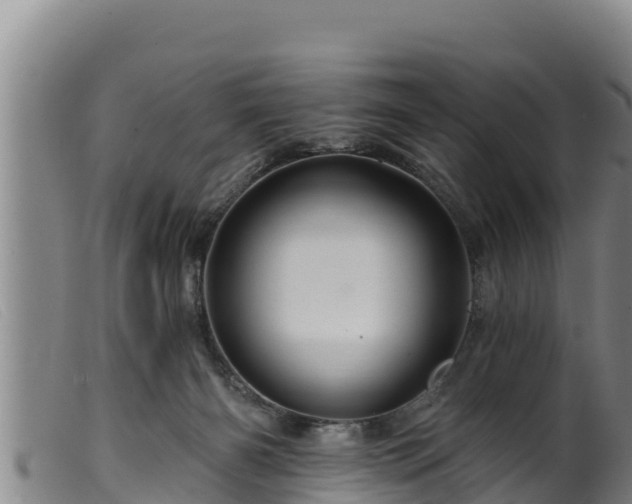 X0000099540126200805231136