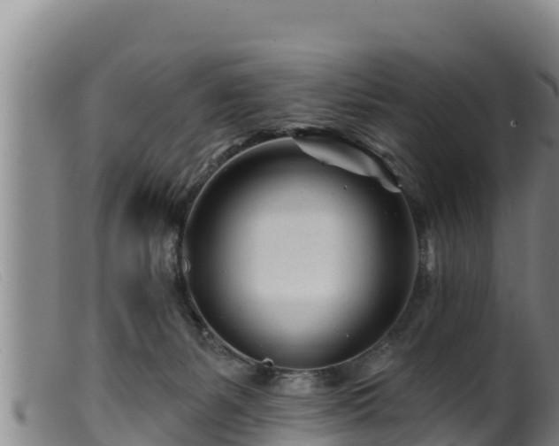 X0000099540127200805231136