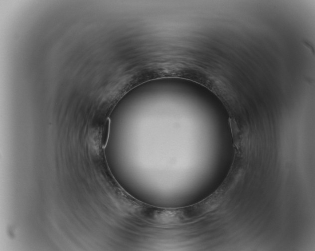 X0000099540129200805231136