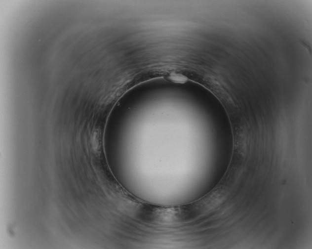 X0000099540131200805231136