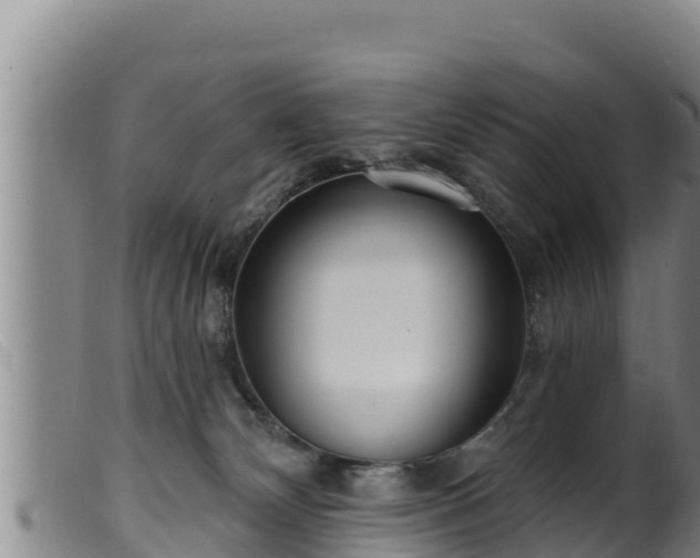 X0000099540132200805231136