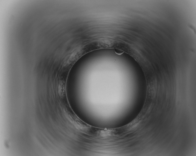 X0000099540134200805231136