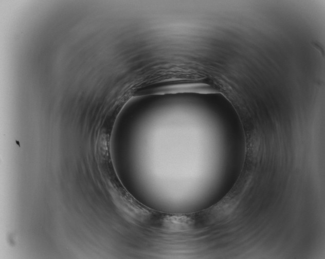 X0000099540137200805231136