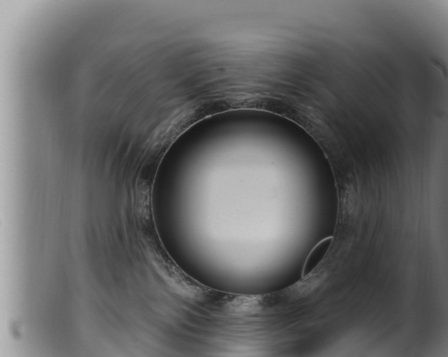 X0000099540138200805231136