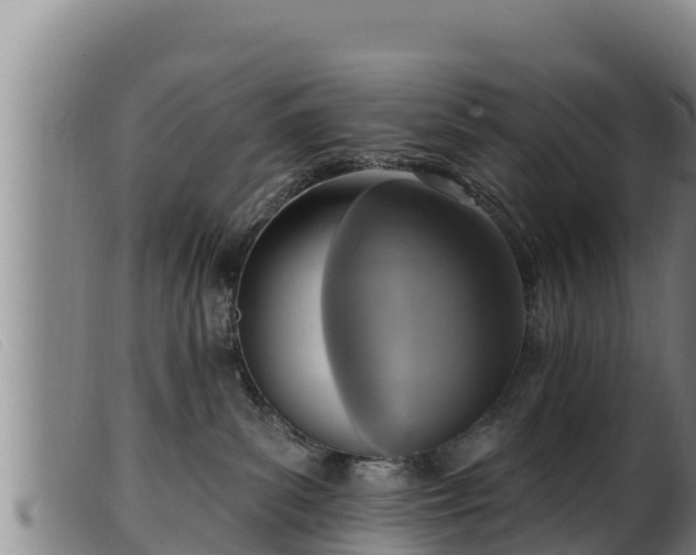 X0000099540139200805231136