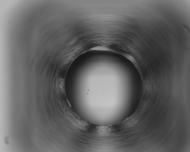 X0000099540141200805231136