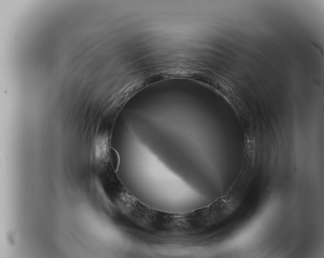 X0000099540143200805231136