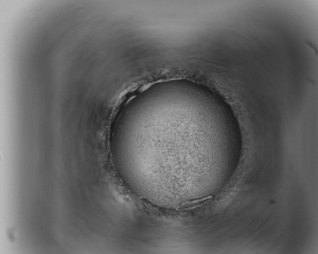 X0000099540144200805231136