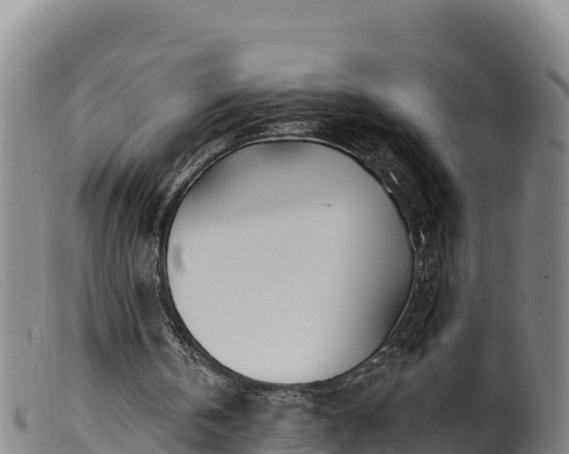 X0000099540146200805231135