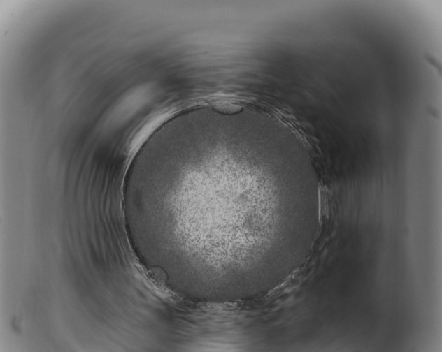 X0000099540147200805231135