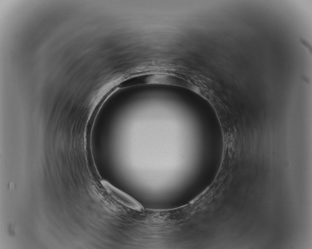 X0000099540148200805231135