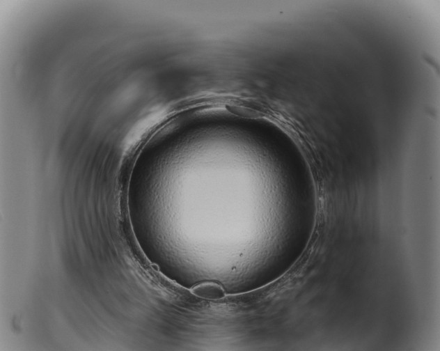 X0000099540149200805231135