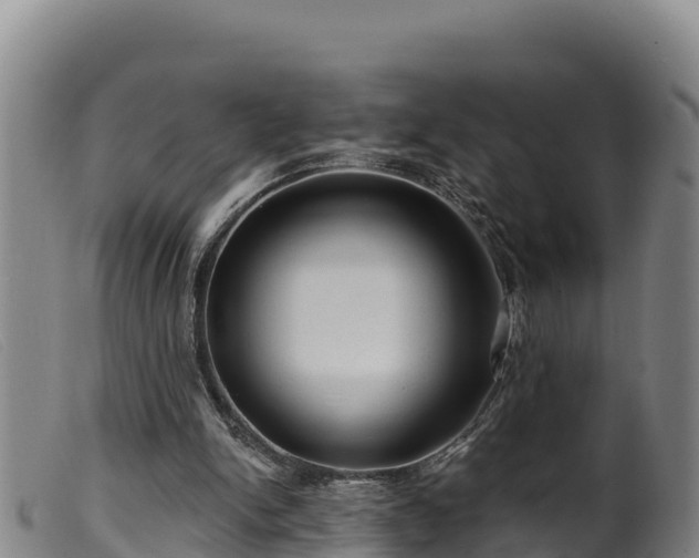 X0000099540150200805231135