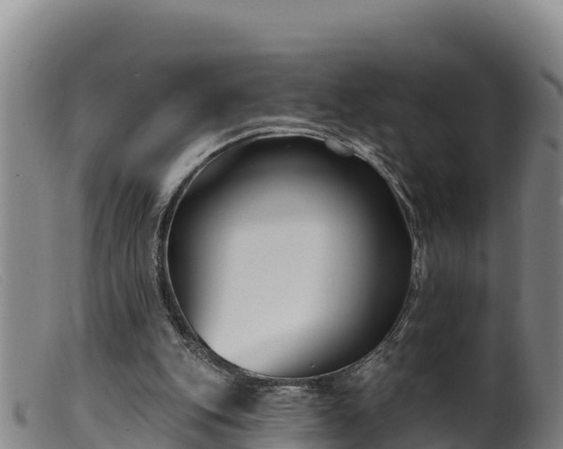 X0000099540151200805231135