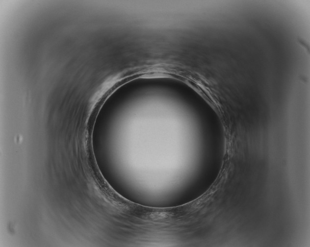 X0000099540152200805231135