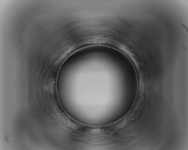 X0000099540153200805231135