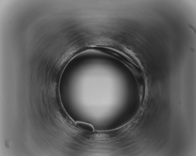 X0000099540154200805231135