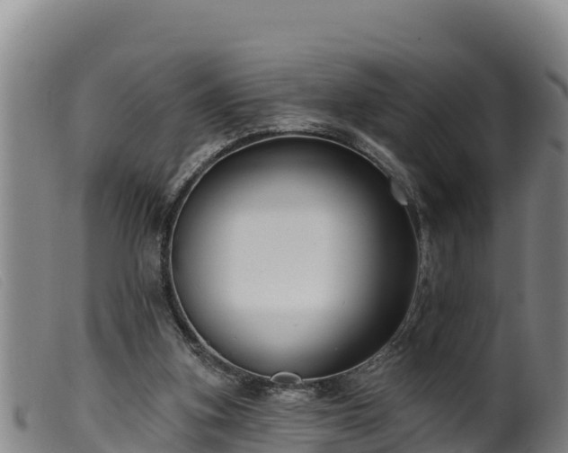 X0000099540155200805231135