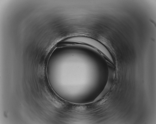 X0000099540156200805231135