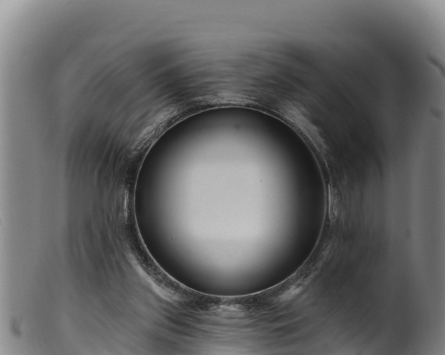 X0000099540157200805231135