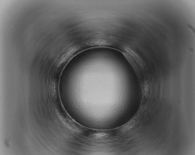 X0000099540158200805231135