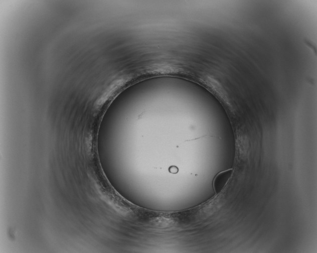 X0000099540159200805231135