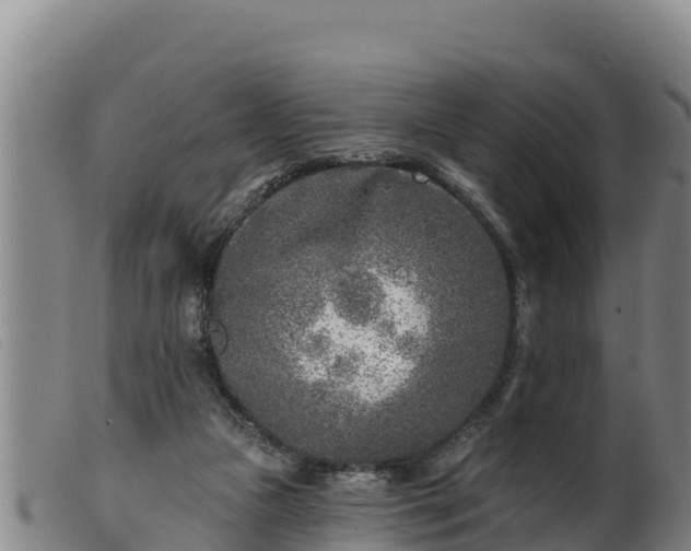 X0000099540161200805231135