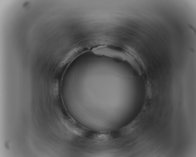 X0000099540163200805231135