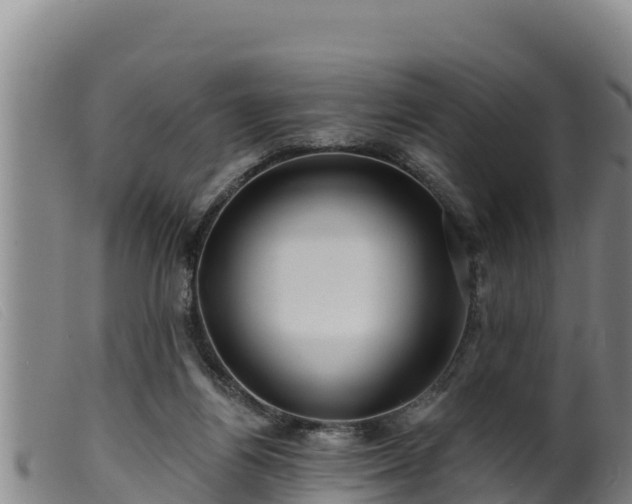 X0000099540164200805231135