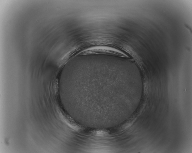 X0000099540165200805231135