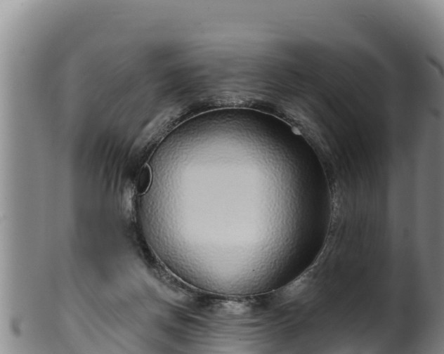 X0000099540166200805231135