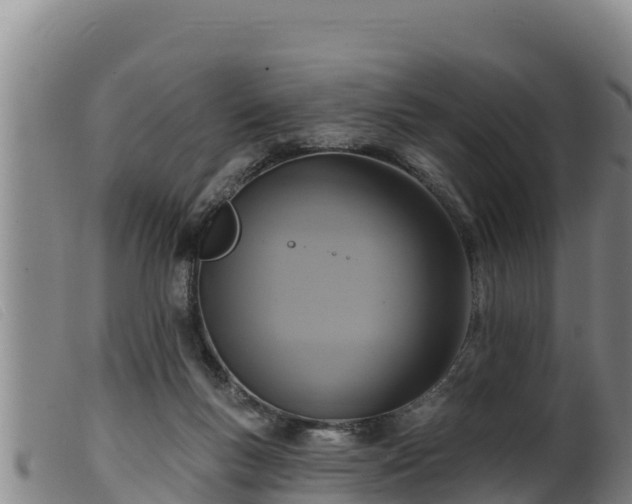 X0000099540167200805231135