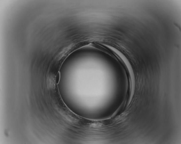 X0000099540168200805231135