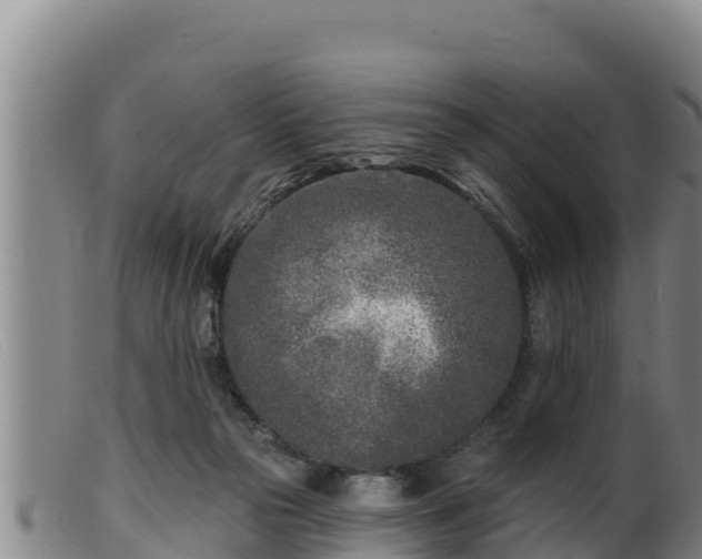 X0000099540169200805231135