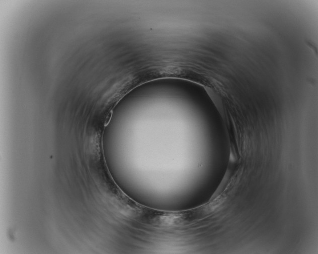 X0000099540172200805231135