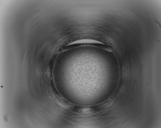 X0000099540173200805231135