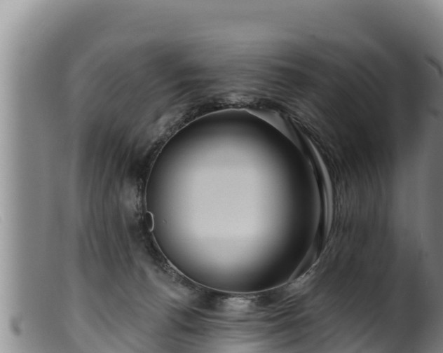 X0000099540176200805231135