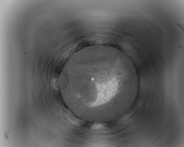 X0000099540177200805231135