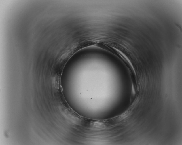 X0000099540180200805231135